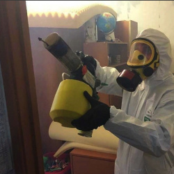 Уничтожение клопов в квартире. Мичуринск